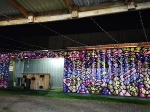 Vibes at Vola Foods in Brunswick