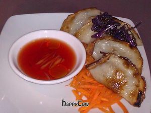 dumplings at Vegetarian Haven in Toronto