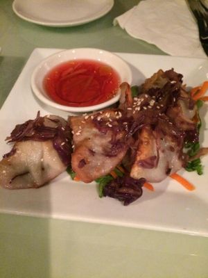 Dumplings at Vegetarian Haven in Toronto