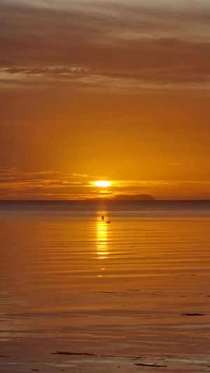  at Roch Cuisine in San Juan Siquijor