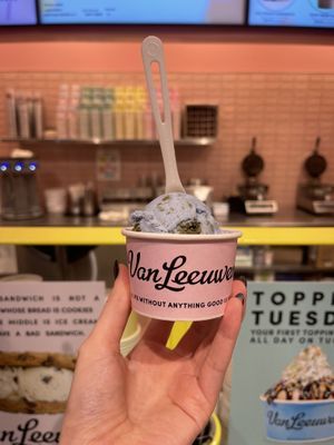 Vegan planet earth - my new fave  at Van Leeuwen Ice Cream in Dallas