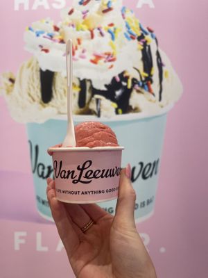 Vegan very berry sorbet   at Van Leeuwen Ice Cream in Dallas