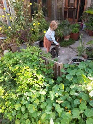  at In Motion in Bertree