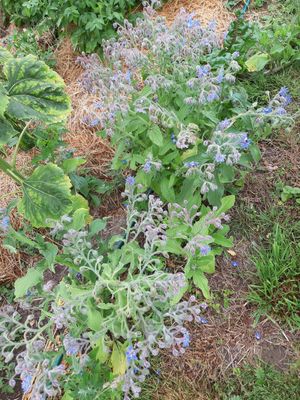  at In Motion in Bertree