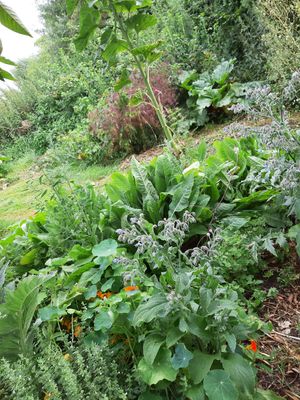  at In Motion in Bertree