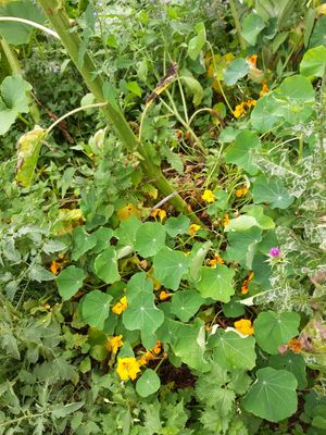  at In Motion in Bertree