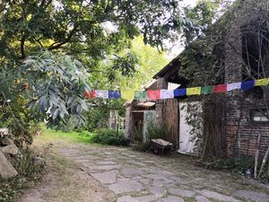 The garden at In Motion in Bertree