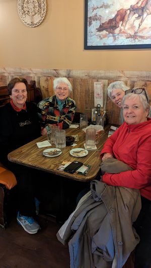 December 2022 vegan buffet meetup at La Fiesta Chatham at Project Animal Freedom Springfield IL in Springfield