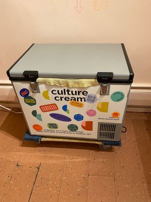 Freezer case for pints to go  at Culture Cream in Hudson