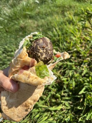 Falafel sandwich  at Amanouz Café in Northampton