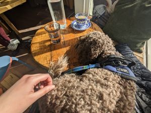  at Remedy Coffee Shop in York