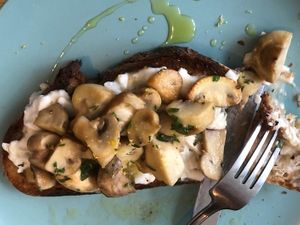 Miso mushroom on sourdough   at Remedy Coffee Shop in York