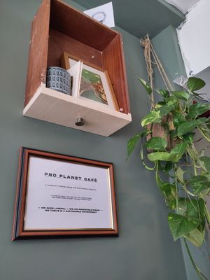  at Remedy Coffee Shop in York