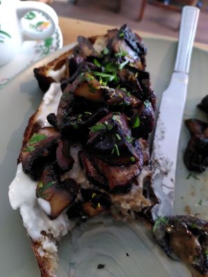 Miso mushrooms - half eaten (September 2023) at Remedy Coffee Shop in York