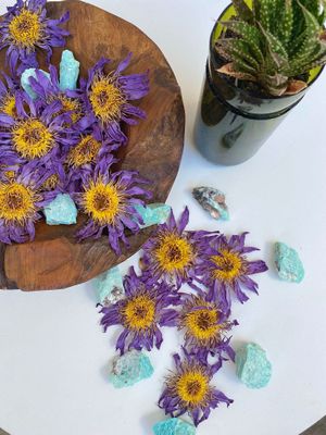 Blue lotus tea at Kamala Cafe in Surfers Paradise