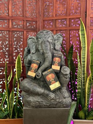 Sacred Earth ceremonial Cacao  at Kamala Cafe in Surfers Paradise