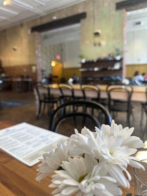   at Frothy Monkey in Birmingham