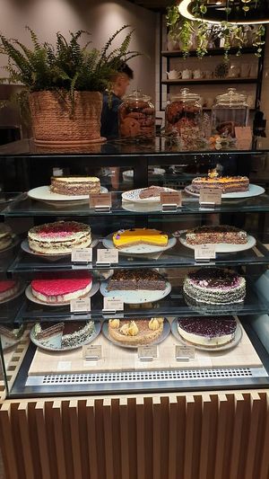  at Vita Rama in Sofia