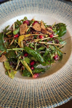  at Vita Rama in Sofia