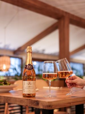  at Vita Rama in Sofia