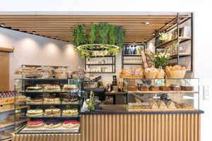  at Vita Rama in Sofia