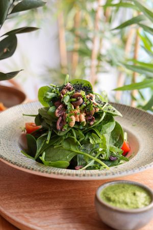  at Vita Rama in Sofia