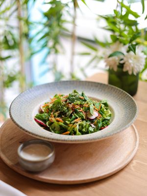  at Vita Rama in Sofia