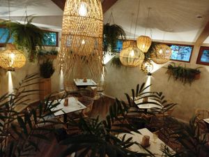  at Vita Rama in Sofia