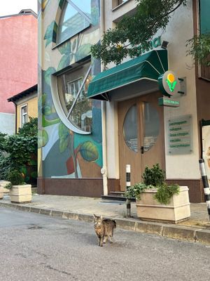 Outside. at Vita Rama in Sofia