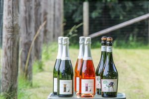  at Vegan Wines - Online Store in Gardiner