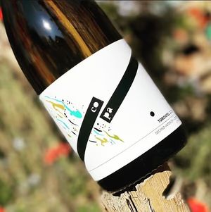 COPA Torontel 2021 at Vegan Wines - Online Store in Gardiner