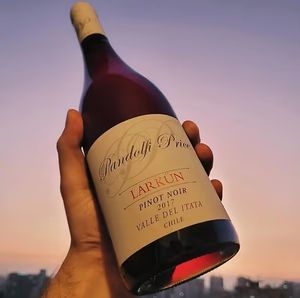 Pandolfi Price Larkun Pinot Noir 2018 at Vegan Wines - Online Store in Gardiner
