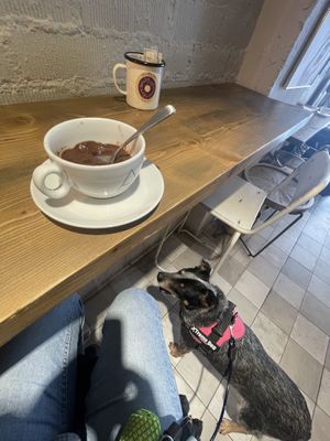   at VegAmazing Doughnuts - Tirso de Molina in Madrid