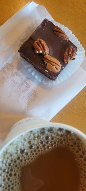 Vegan turtle brownie at Echo Coffee in Scottsdale