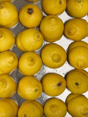 No ShortCut - No Chaser 
No Gimmicks

The Ital way 
#cleanlabelplantbased 
Freshly squeezed Seeded Lemon

Find out what else we have to offer besides Juice
www.theitaljuice at The Ital Juciery Company Vegan & Flexitarian Kitchen in Hartford