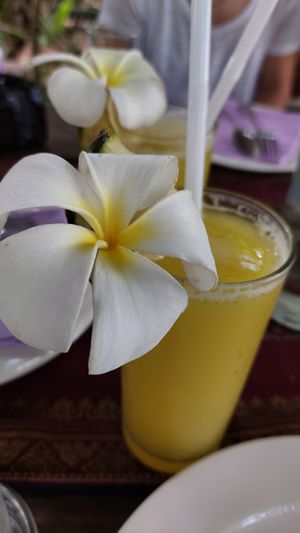  at Chanda's Historical Garden Restaurant - อาหารสวนประวัติศาสตร์ in Sukhothai