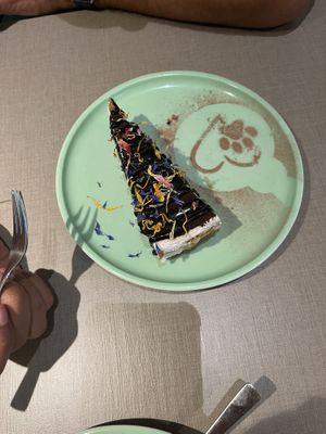 Tiramisu  at Katzentempel - Erlangen in Erlangen