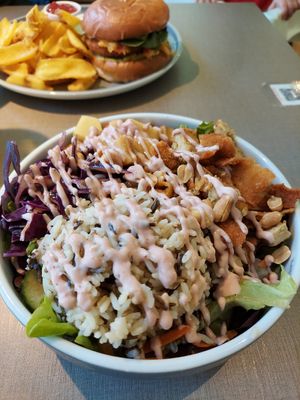  at Katzentempel - Erlangen in Erlangen