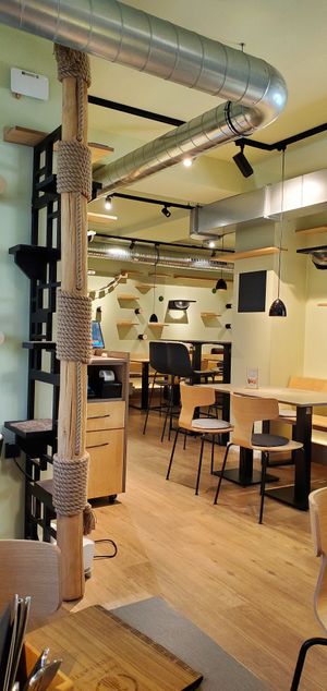 "" at Katzentempel - Erlangen in Erlangen