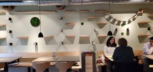 "" at Katzentempel - Erlangen in Erlangen