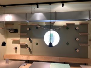   at Katzentempel - Erlangen in Erlangen