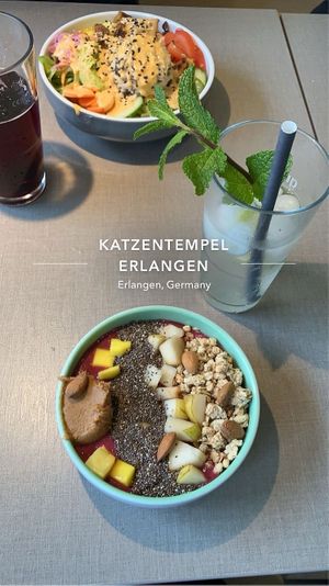   at Katzentempel - Erlangen in Erlangen