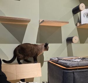  at Katzentempel - Erlangen in Erlangen