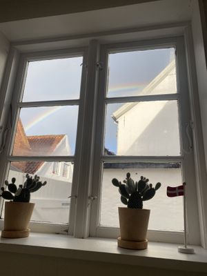   at Café Glass in Toender