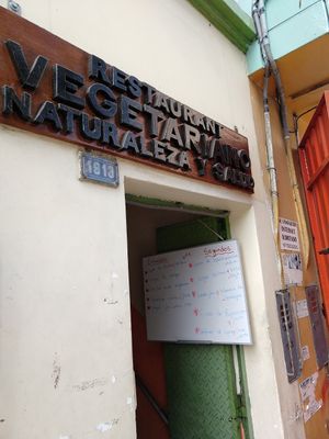 Exterior sign at entrance at Restaurante Vegetariano Naturaleza y Salud in Lima