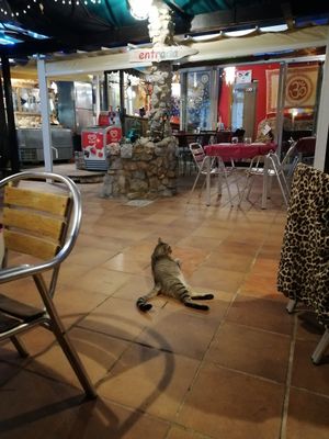  at Restaurante Pizzeria El Refugio in Montanejos