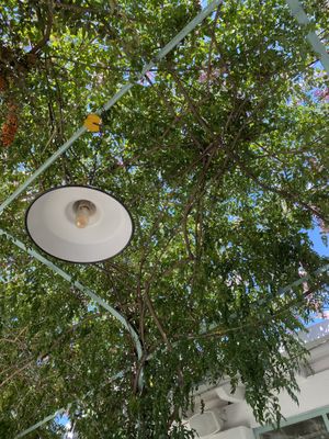 Backyard  at Paloma Bakery House in Mendoza