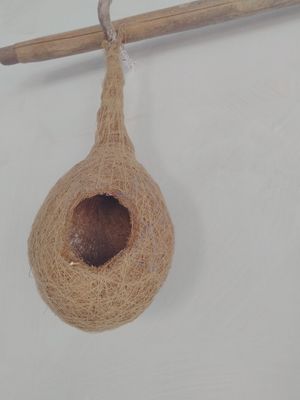 It can be a house for birds if they are allowed at Chhotaram Prajapat's Homestay in Jodhpur