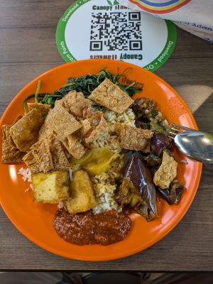 Vegan Cai fan at Tong Xin Vegetarian - 同心素食 in North Singapore