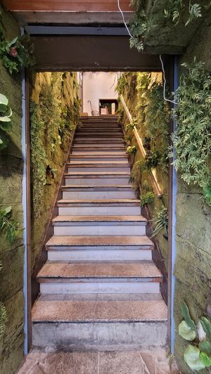 Fresh local ingredient restaurant, with salad buffet. at Shunse - 農家レストラン旬世 豪徳寺店 in Tokyo